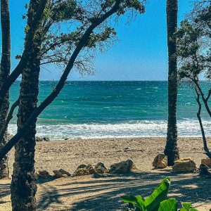Beachside with palms in Marbella
