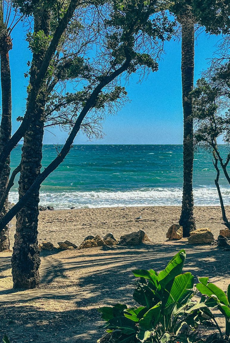 Beachside with palms in Marbella