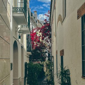an alleyway of Marbella