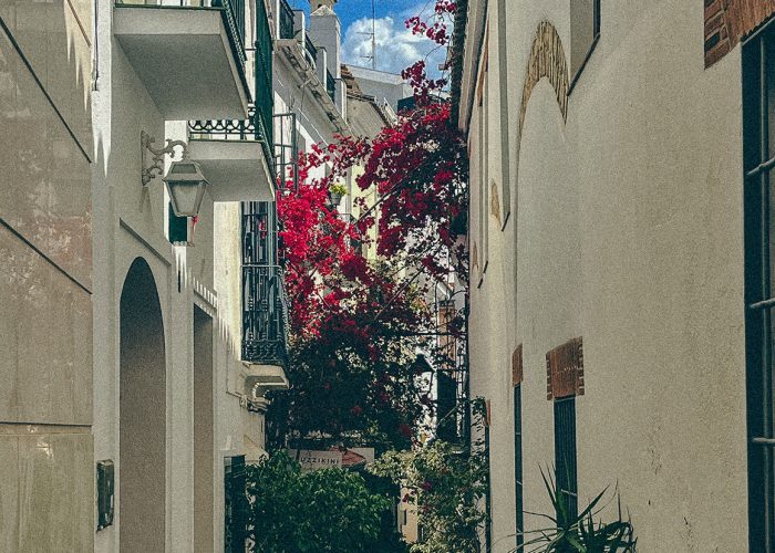 A Study in Sunlight: Marbella Through the Designer’s Eye