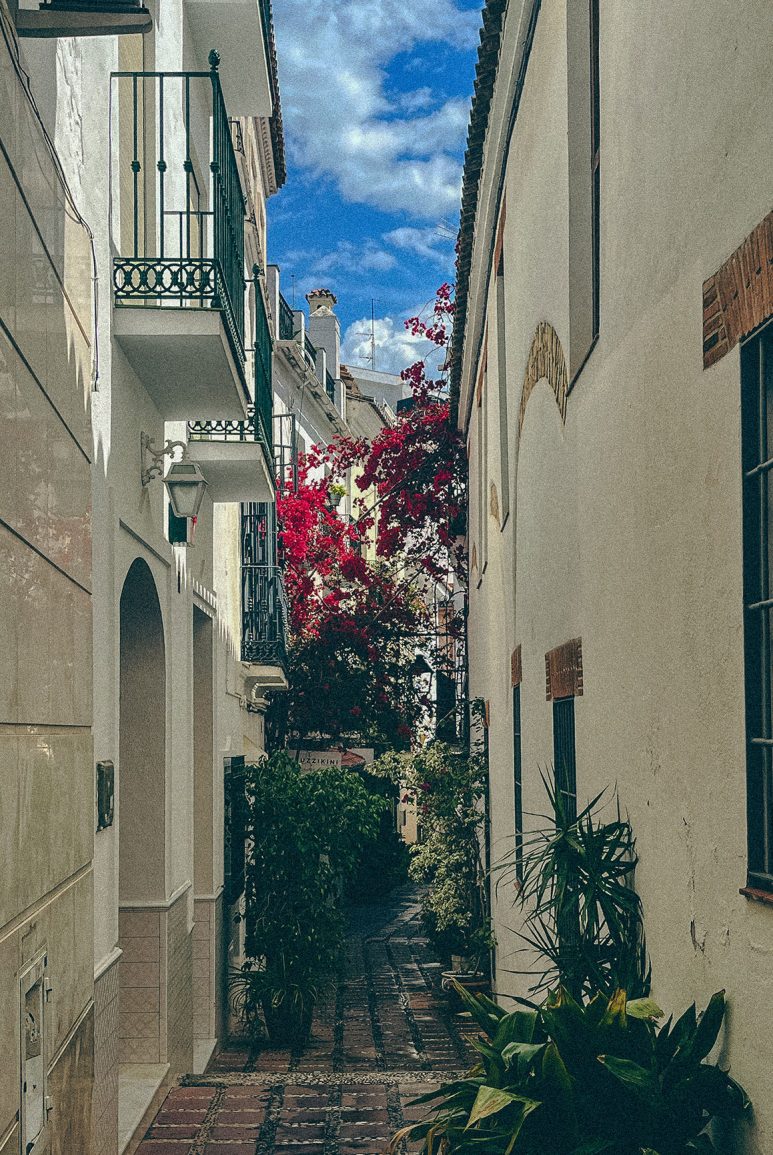 an alleyway of Marbella